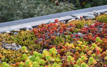 the cost of Prestwold green roof installation