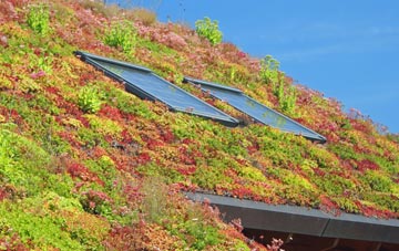 Prestwold living roof systems