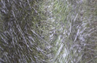 Prestwold fibreglass roof work